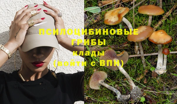 MESCALINE Аркадак