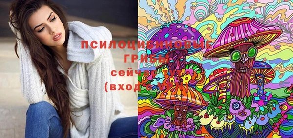твердый Армянск